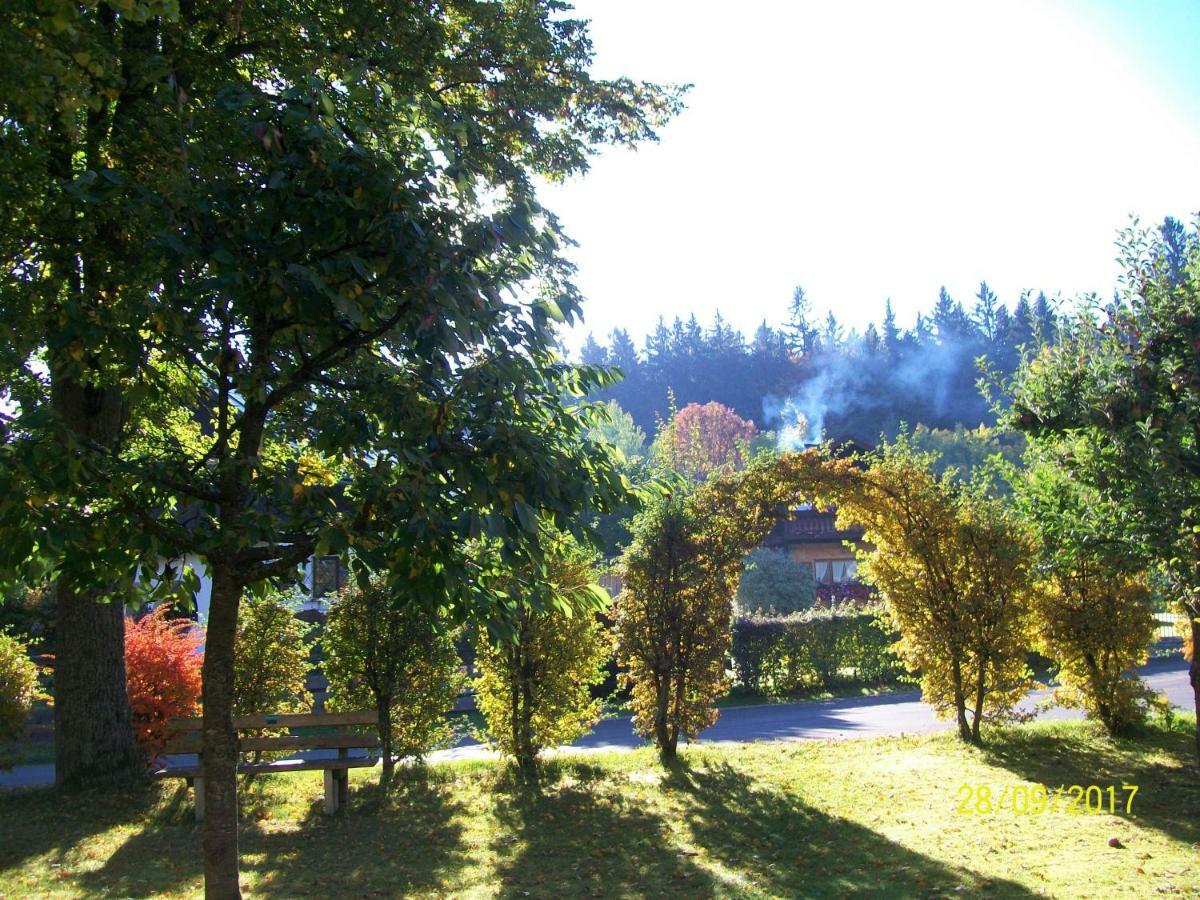 Maier Pension Hotel Bayerisch Eisenstein Exterior photo